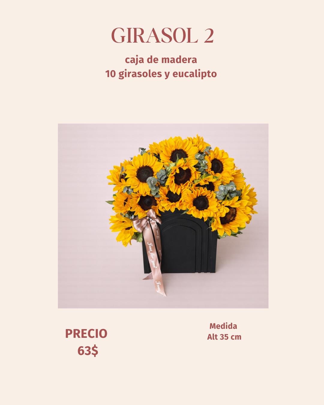Girasol 2